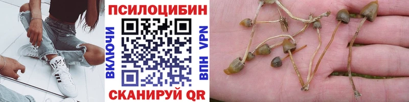 Псилоцибиновые грибы мицелий  что такое наркотик  Полесск 